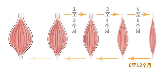 肌肉收縮