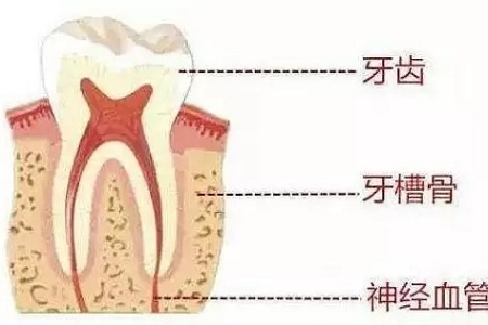 做牙齒矯正 ，真的要趁早！