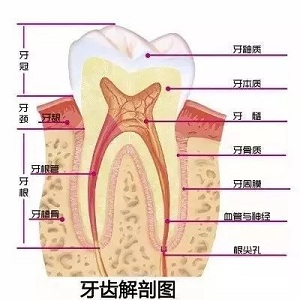 問診室：為什么我的牙卻永遠也刷不白？