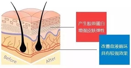 關(guān)于*雕，你想了解的都在這里！